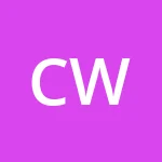 Аватар CSS Wizard